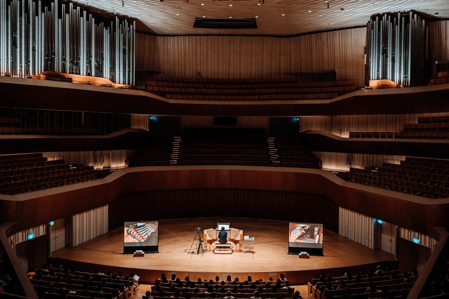 沿著傍晚的光走進高雄衛武營，在草地與建築之間找回一段被風輕輕托住的散步時光