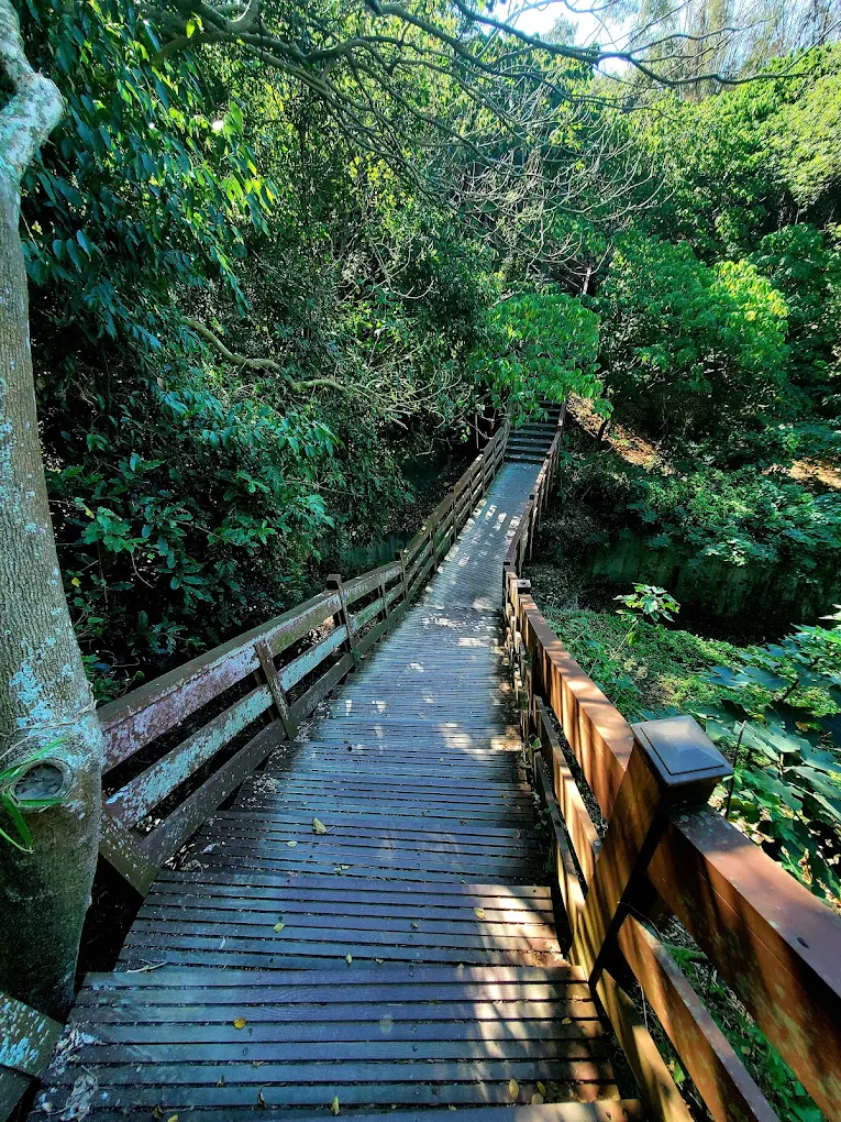 🌋 漯底山自然公園｜高雄最靠海的惡地秘境，走吊橋、看海景、賞夕陽一次滿足！