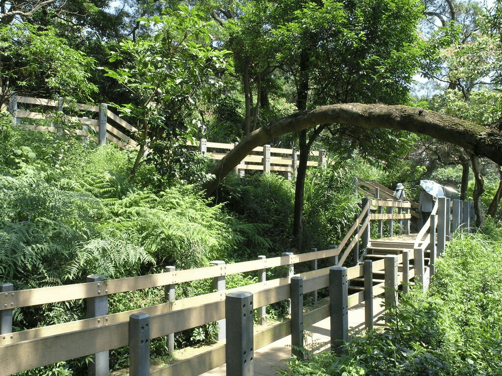 在台北信義沿著虎山步道一步步往上走，看城市輪廓在林間縫隙裡慢慢聚焦的那段路