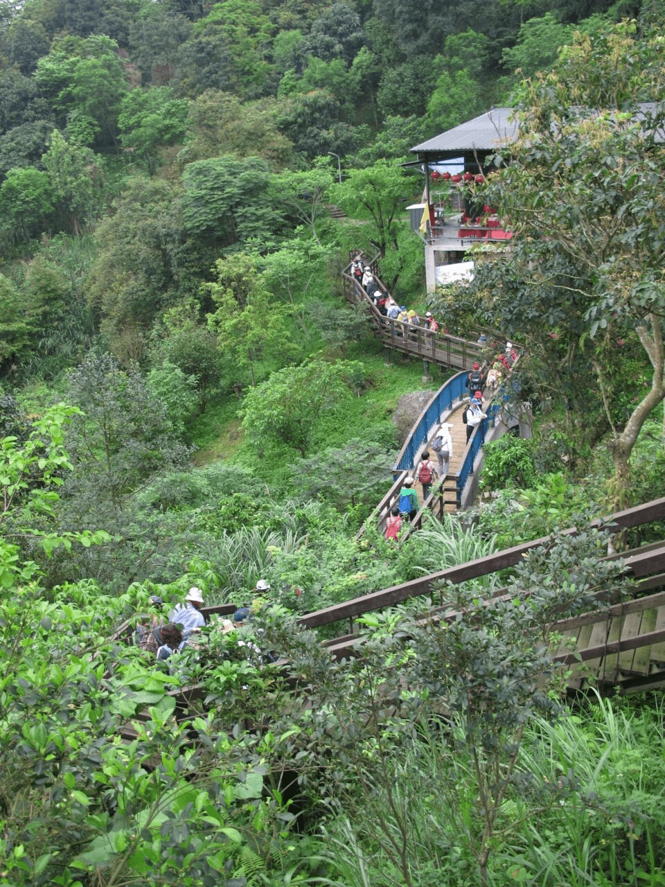 在台北信義沿著虎山步道一步步往上走，看城市輪廓在林間縫隙裡慢慢聚焦的那段路