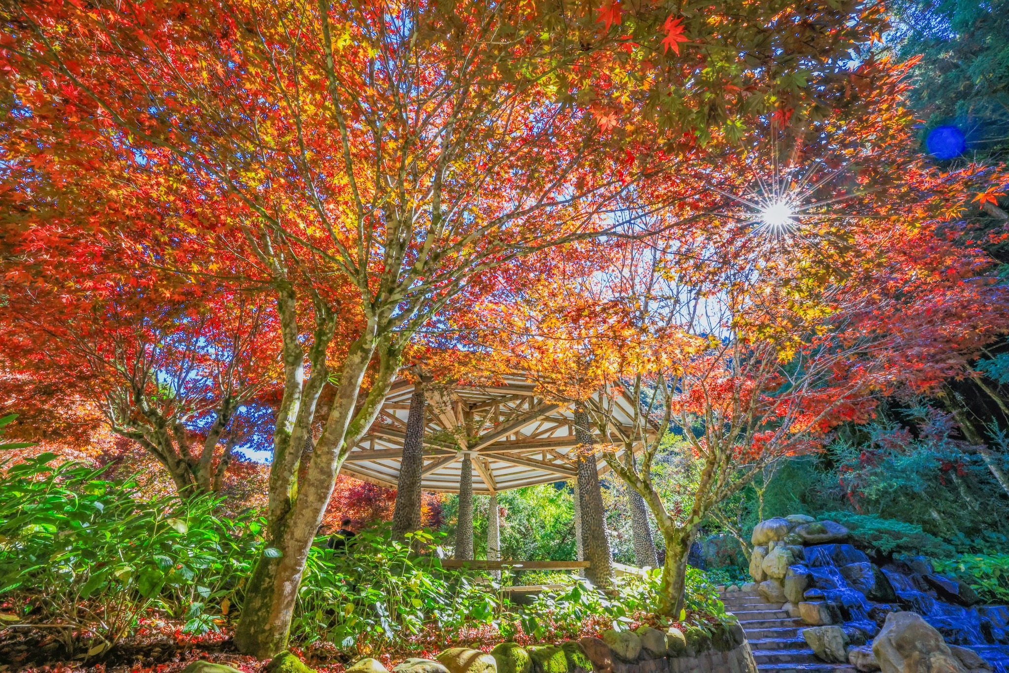 把腳步放進杉林溪的綠意裡，從花卉中心走到瀑布前，看著山霧升起的瞬間想重新深呼吸