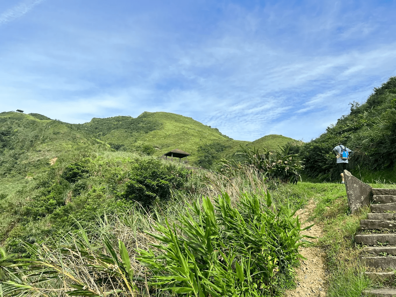 草嶺古道｜穿越山海之間的百年步道