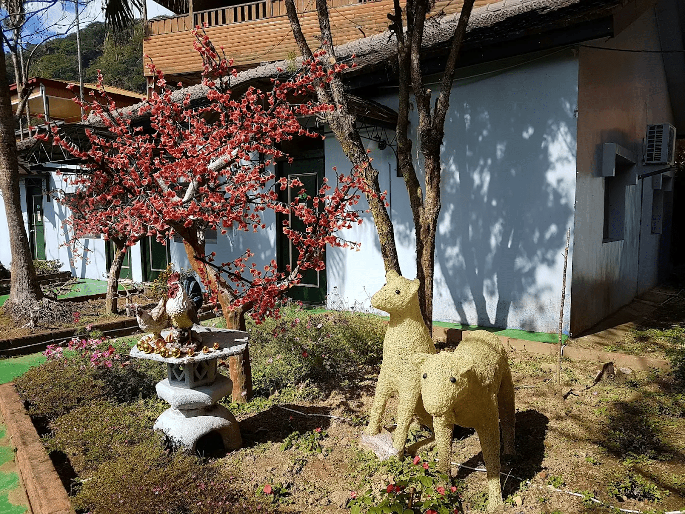 綠原休閒渡假飯店｜藏在草嶺山林裡的靜謐渡假地，慢慢走、慢慢放鬆