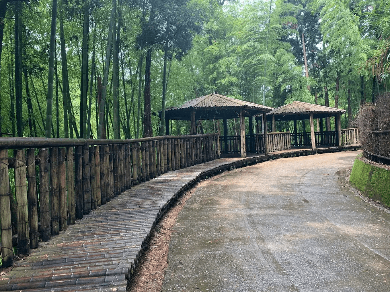 草嶺地質公園壯闊景致