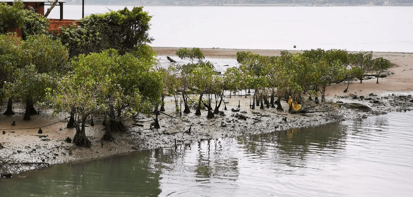 淡水老街｜美食、河景與散步風景一次收藏