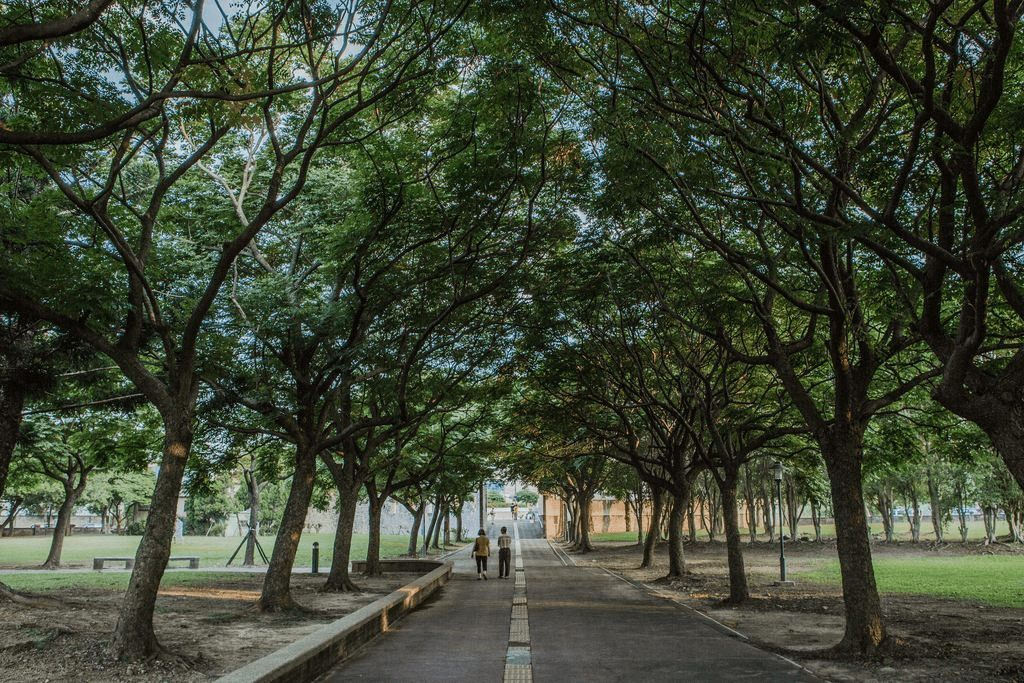 跟著秋日微風一路散步桃園大溪，在老街與河濱之間走進最輕柔的五大景點時光