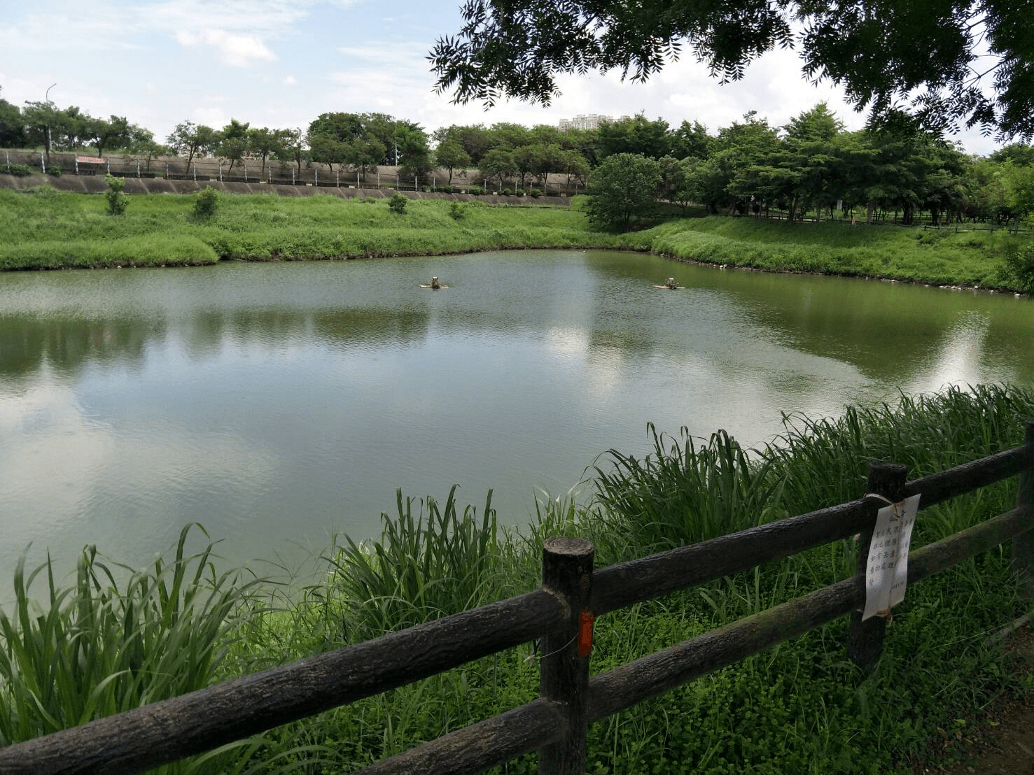 把一天交給嘉義景點，用輕鬆步伐穿過森林之歌、嘉義公園與紅毛埤的夜色倒影