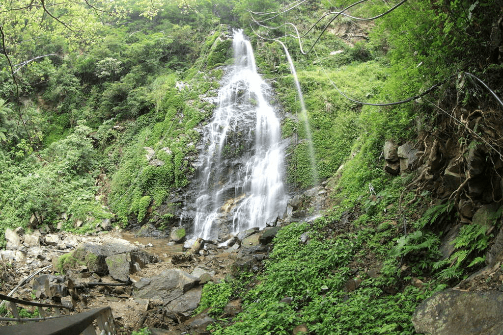 隨著山風吹過台東知本的溫泉區，感受暖湯、樹影與水聲交錯的節奏，讓身心都在此刻安靜下來