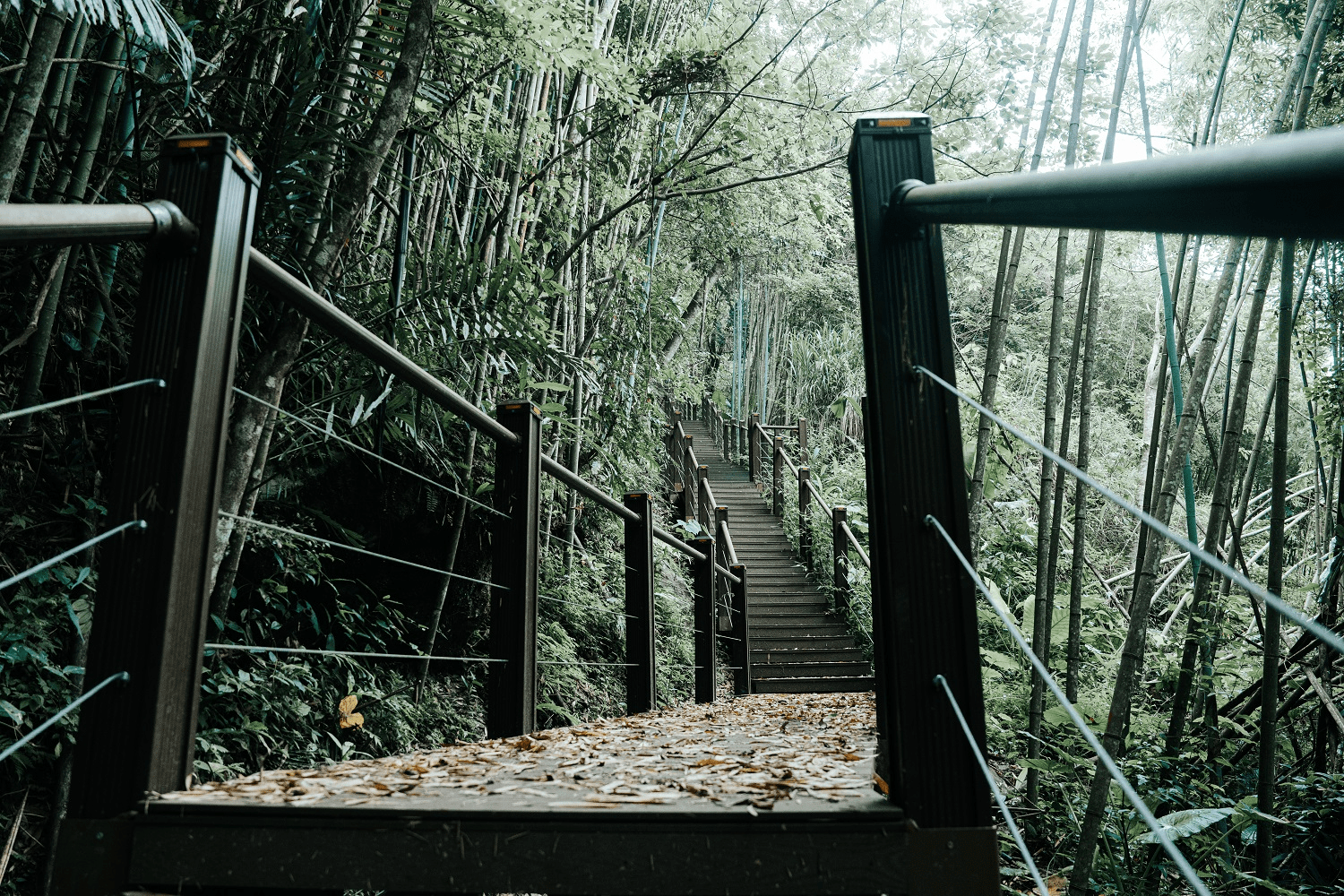 從竹東老街開始散步，用街屋光影與溪谷水聲帶你完成一天充滿呼吸感的探索