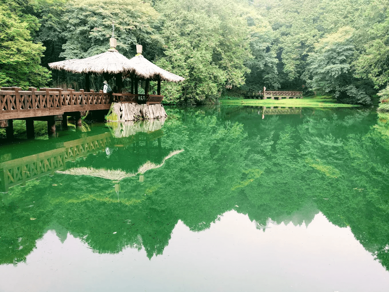阿里山國家森林遊樂區 想在台灣找到一個能同時看到日出、雲海、神木、森林鐵路的地方嗎？