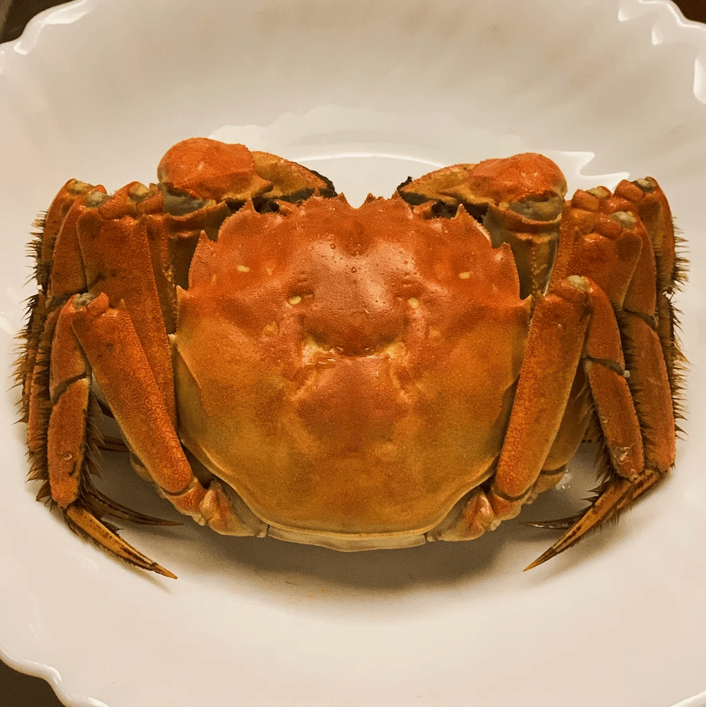 忠記大閘蟹｜灣仔太原街的人氣老字號生猛蟹店