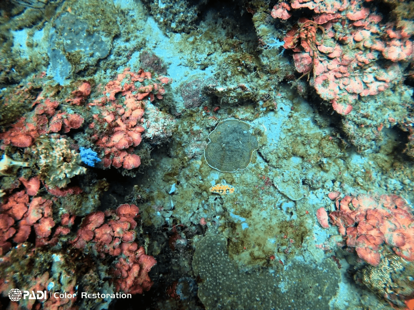 潮境保育區｜地址、交通與特色亮點一次看