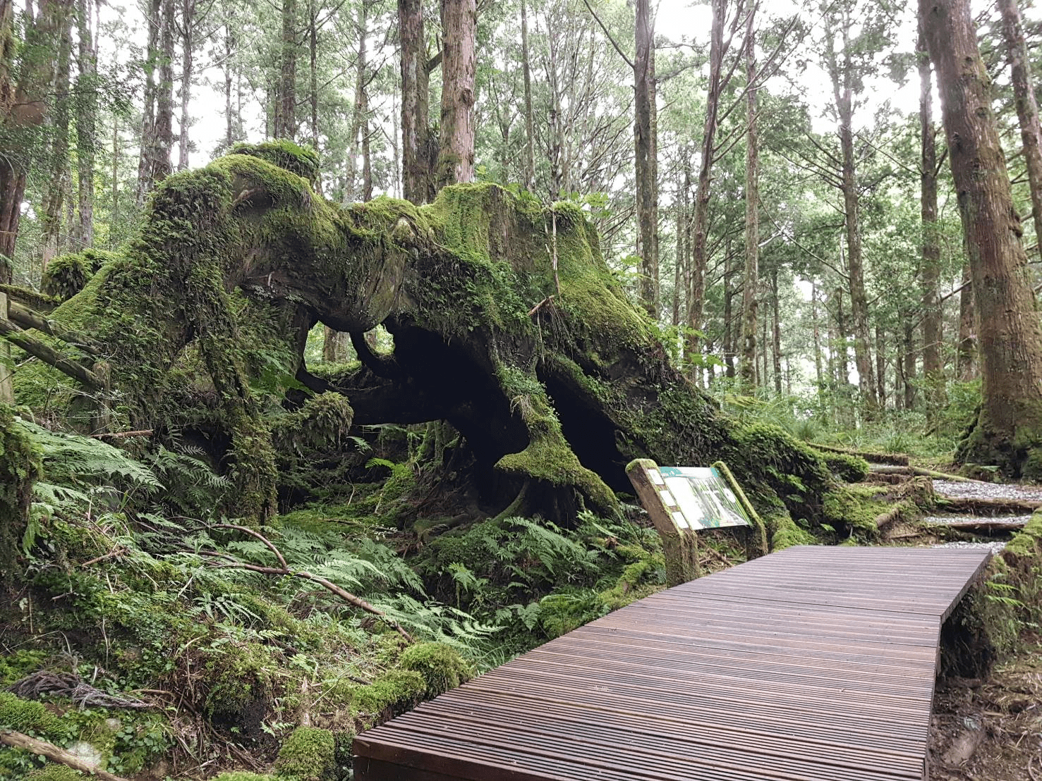 山海之間的宜蘭日常，在宜蘭散步的五種方式，剛好拼成一段舒服的旅程