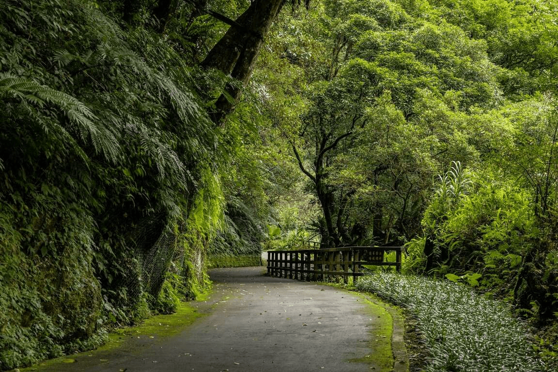 沿著綠意步道漫步新北內洞國家森林遊樂區，在瀑布水霧中把整天的忙碌慢慢放下來