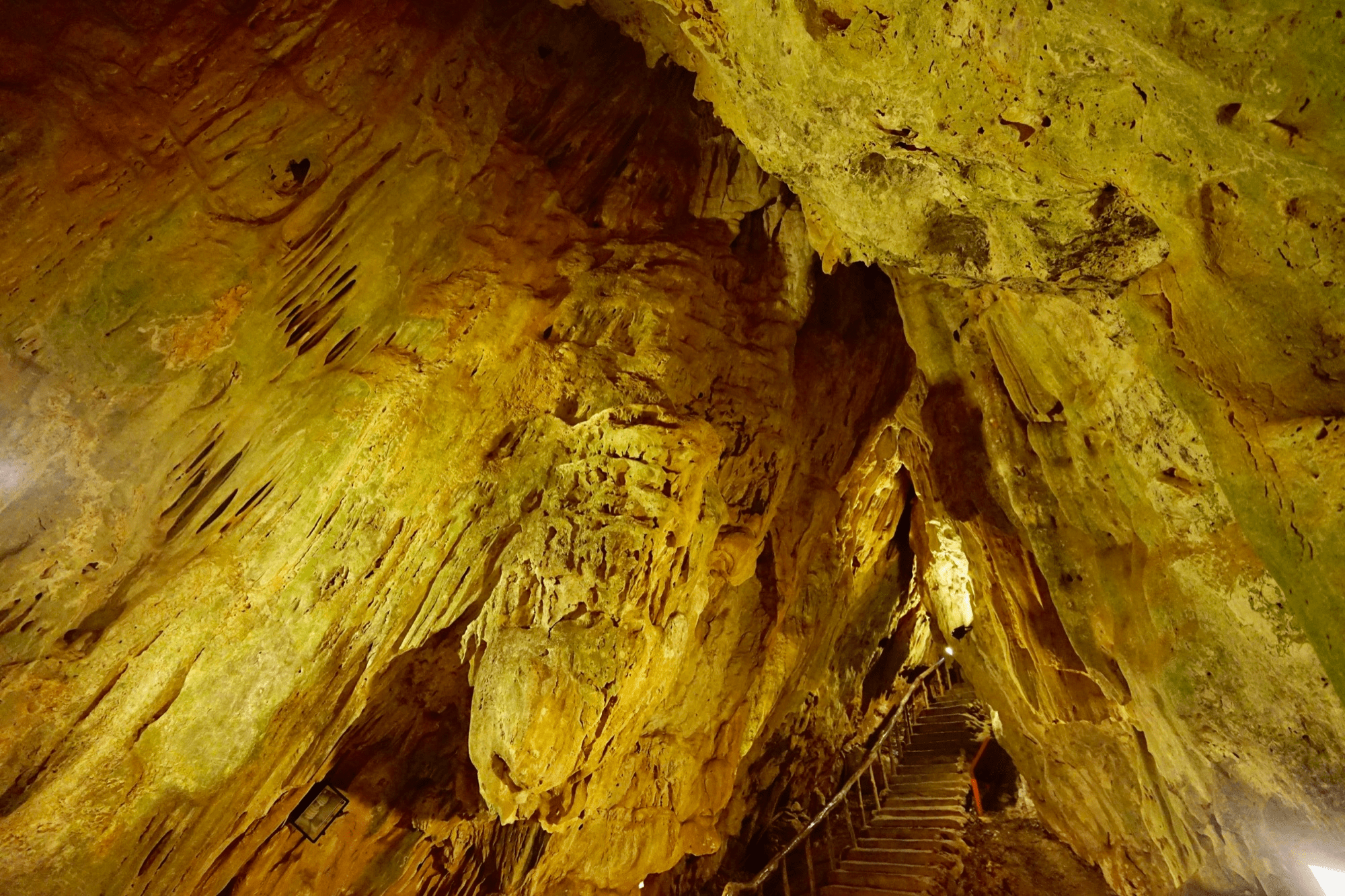 午後漫步墾丁國家森林遊樂區，看風在葉縫裡遊走、岩洞在光影下緩緩亮起