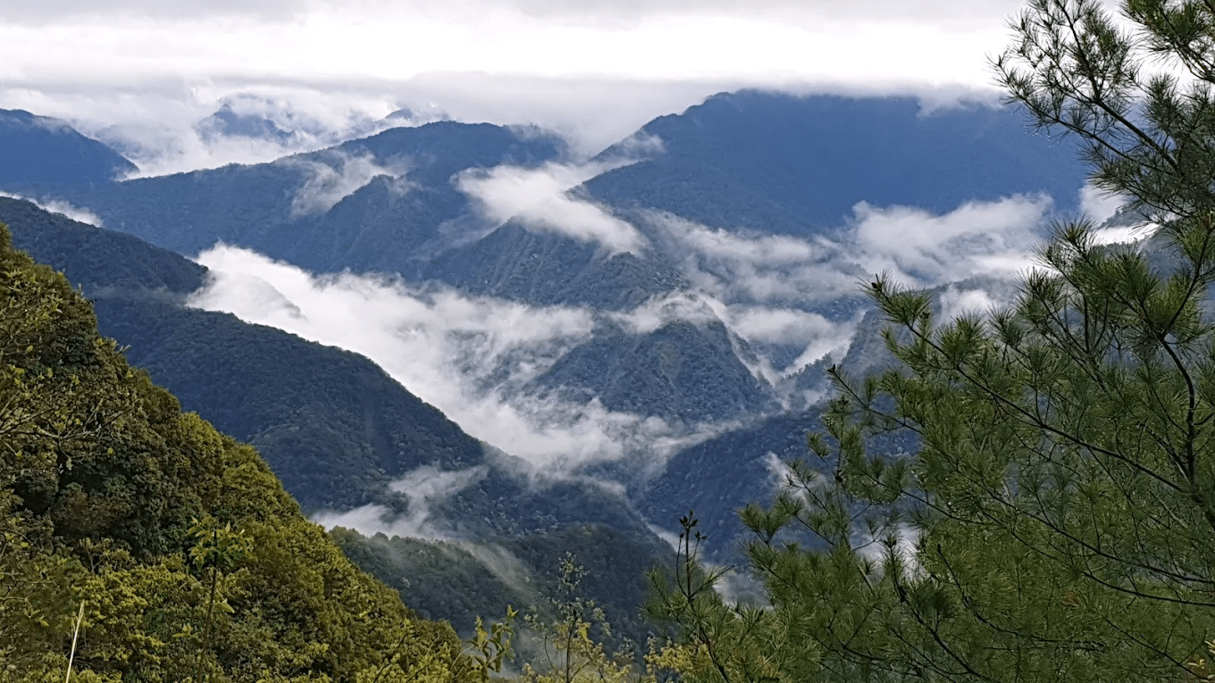 雪見林間步道美景