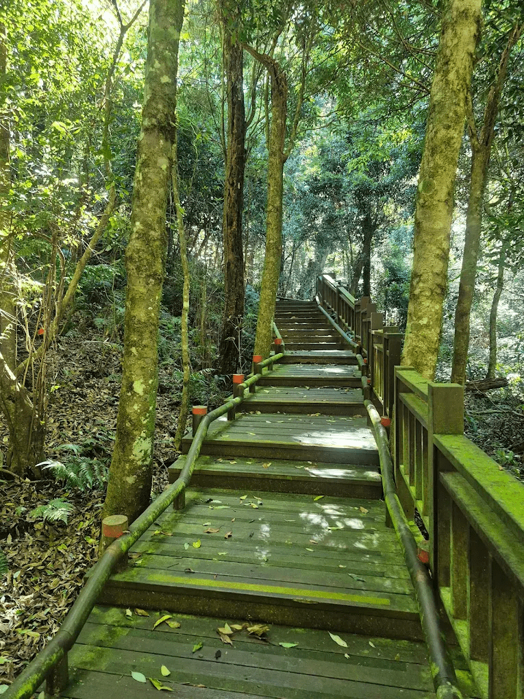 雪見自然美景特寫