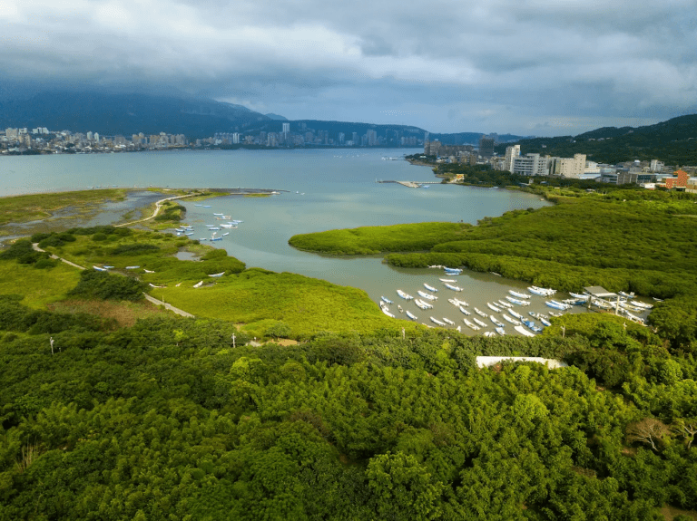 挖子尾自然生態保留區 想找一個離城市不遠、卻能真正感受到大自然氣息的地方嗎?
