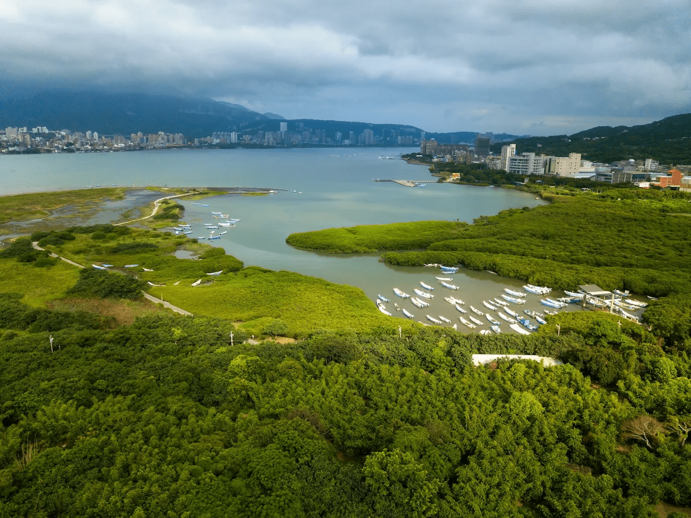 挖子尾自然生態保留區 想找一個離城市不遠、卻能真正感受到大自然氣息的地方嗎?