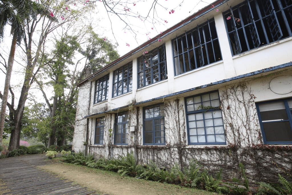 在日月潭的清晨聽風走過湖面,住進能看見山霧的湖畔飯店