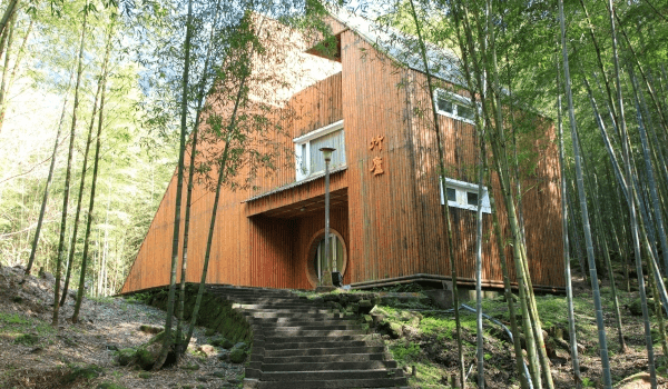 在南投溪頭的竹林光影中慢慢前行，讓身心跟著森林呼吸一起找到最舒服的旅行步調