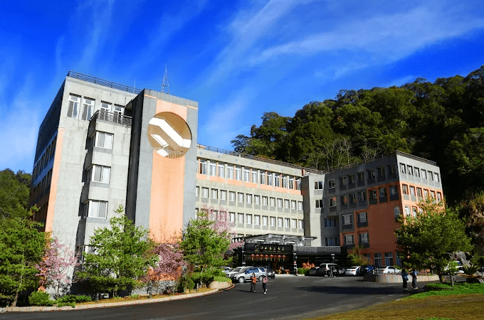 清晨沿著杉林溪緩步上山,在森林裡找到想住一晚的靜謐住宿風景