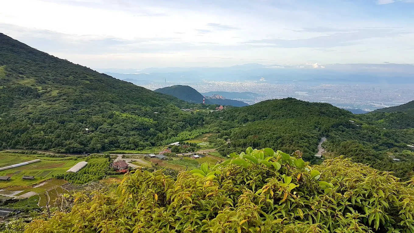 🌿 陽明山國家公園｜台北後花園的四季秘境，一日就能親近火山與雲海的自然奇蹟！
