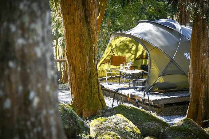 走進溪頭的山林深處，把日常放下，把帳篷帶上，露營是一場森林的邀請