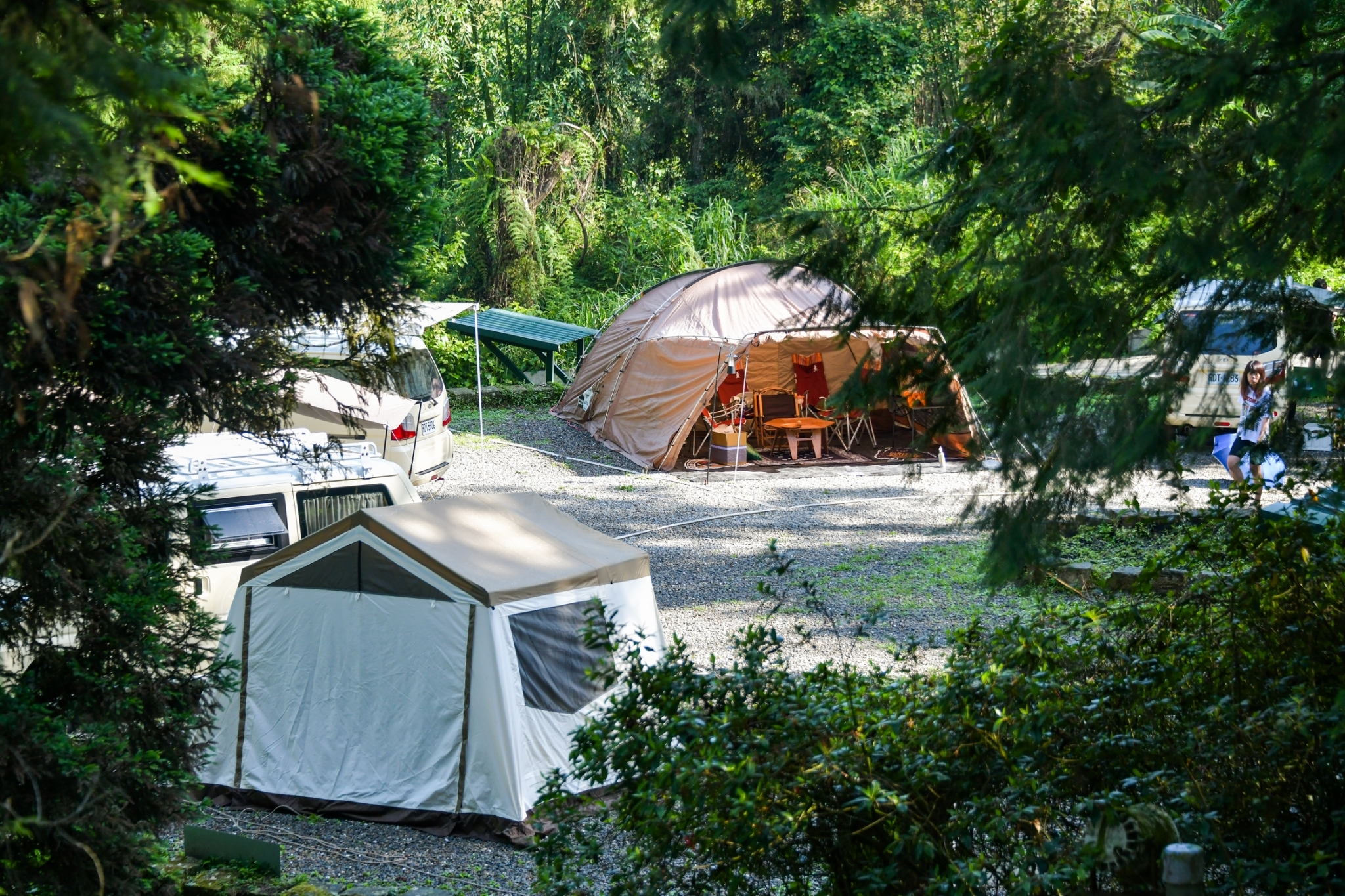 走進溪頭的山林深處，把日常放下，把帳篷帶上，露營是一場森林的邀請