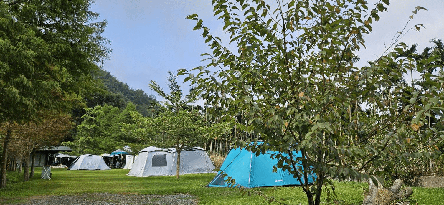 走進溪頭的山林深處，把日常放下，把帳篷帶上，露營是一場森林的邀請