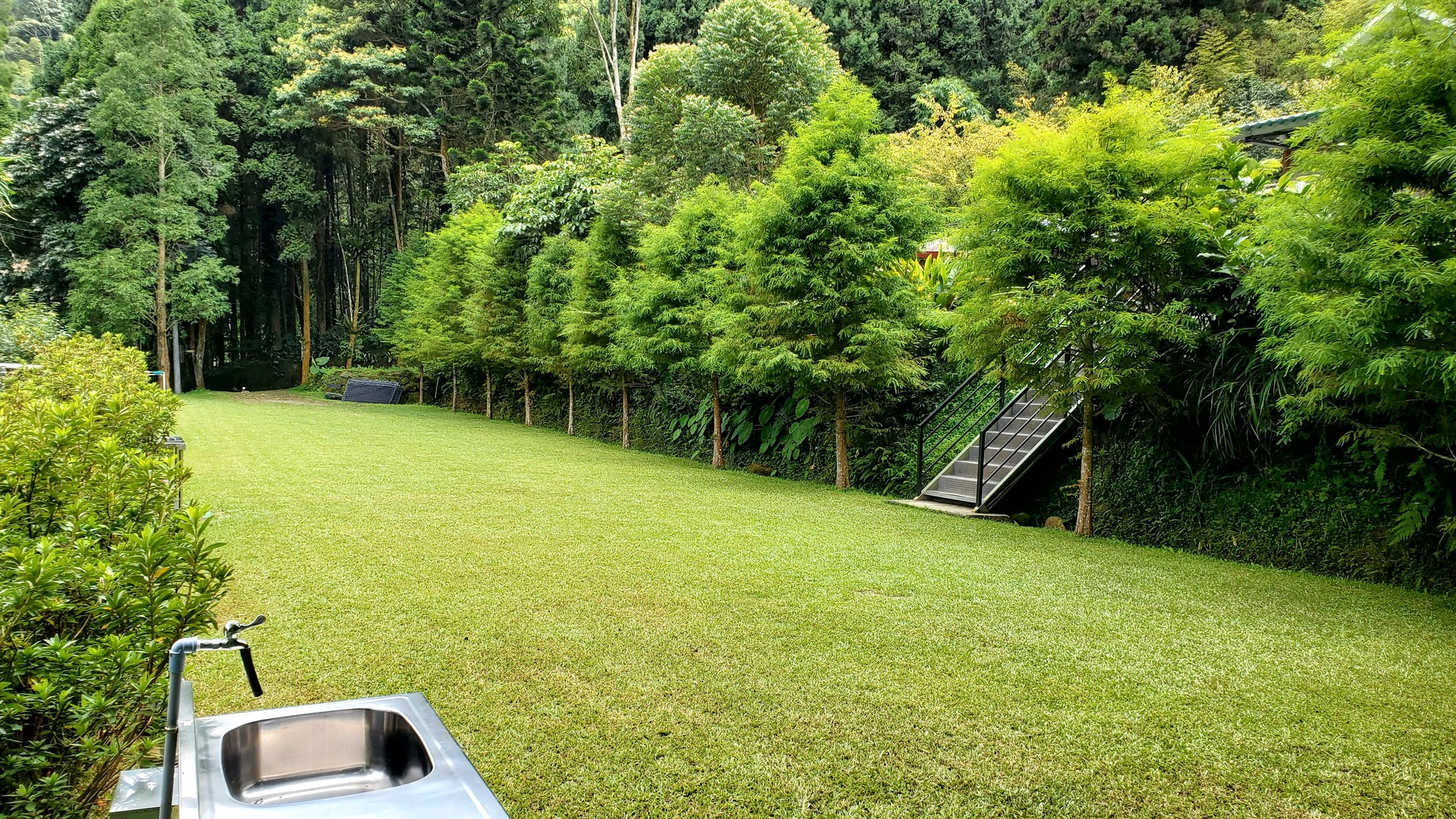 走進溪頭的山林深處，把日常放下，把帳篷帶上，露營是一場森林的邀請