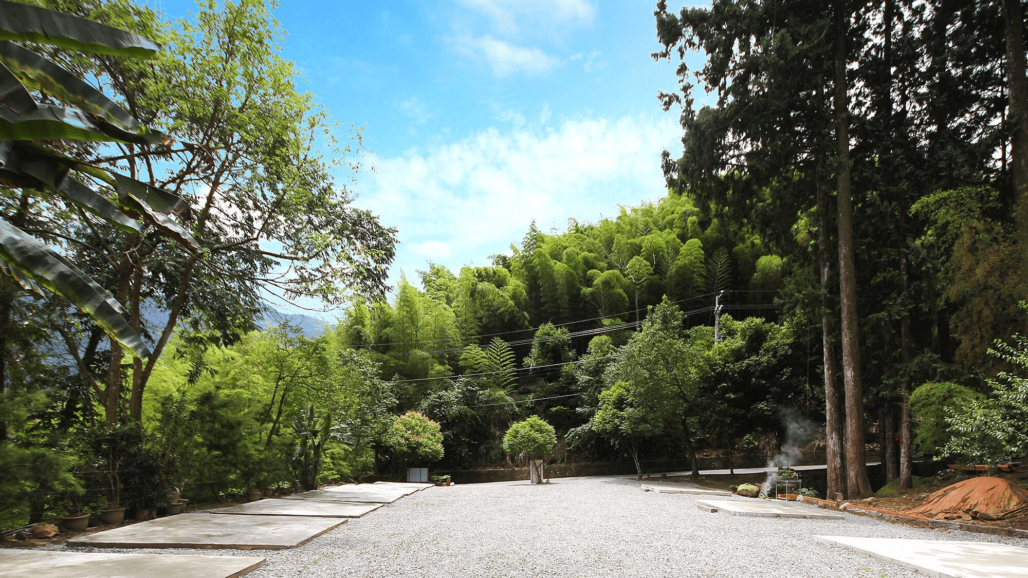 走進溪頭的山林深處，把日常放下，把帳篷帶上，露營是一場森林的邀請