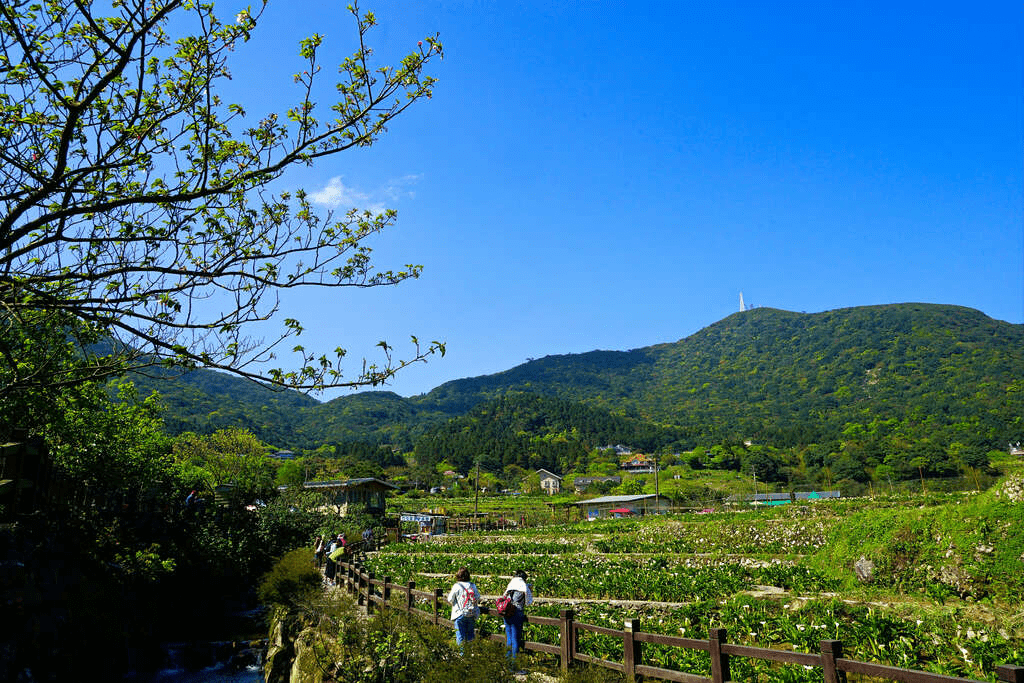 午後穿過樹影與步道的節奏，讓台北的山風與城市光線在身邊交錯，把心帶向更開闊的地方