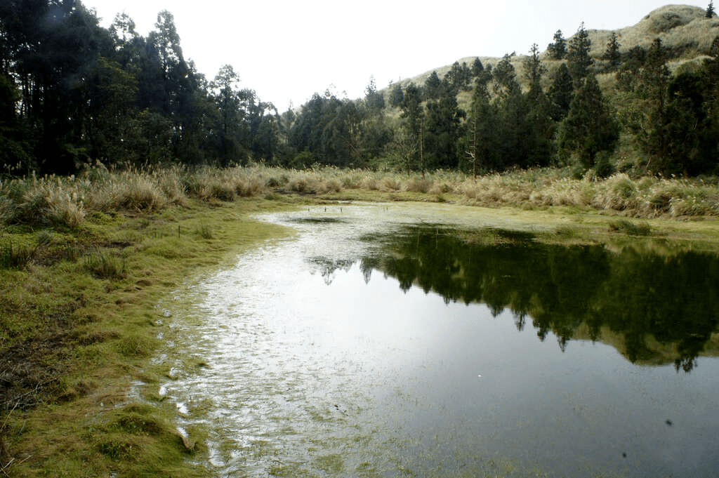 午後穿過樹影與步道的節奏，讓台北的山風與城市光線在身邊交錯，把心帶向更開闊的地方