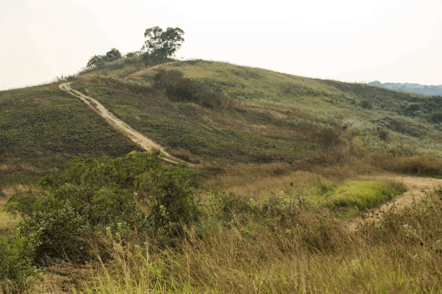 沿著新化山麓一路往上走，台南秘境的草坡與湖光在午後慢慢展開成一段安靜而動人的旅程