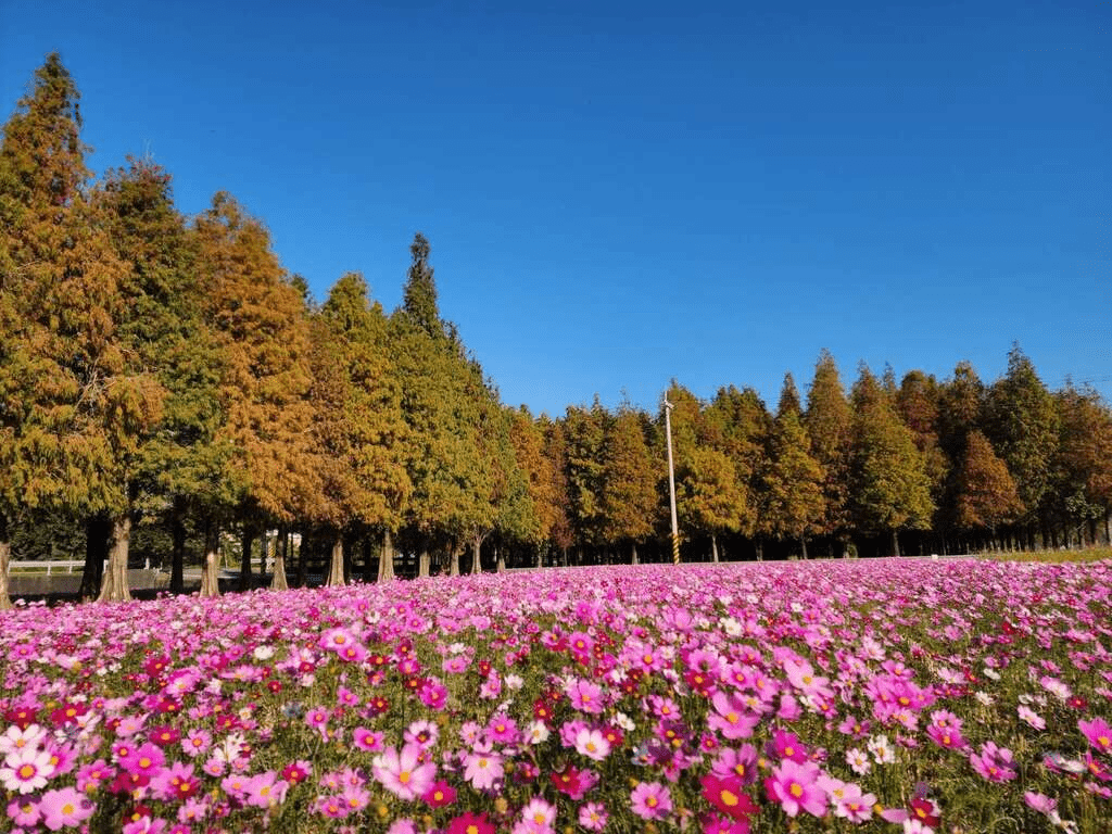 沿著新化山麓一路往上走，台南秘境的草坡與湖光在午後慢慢展開成一段安靜而動人的旅程