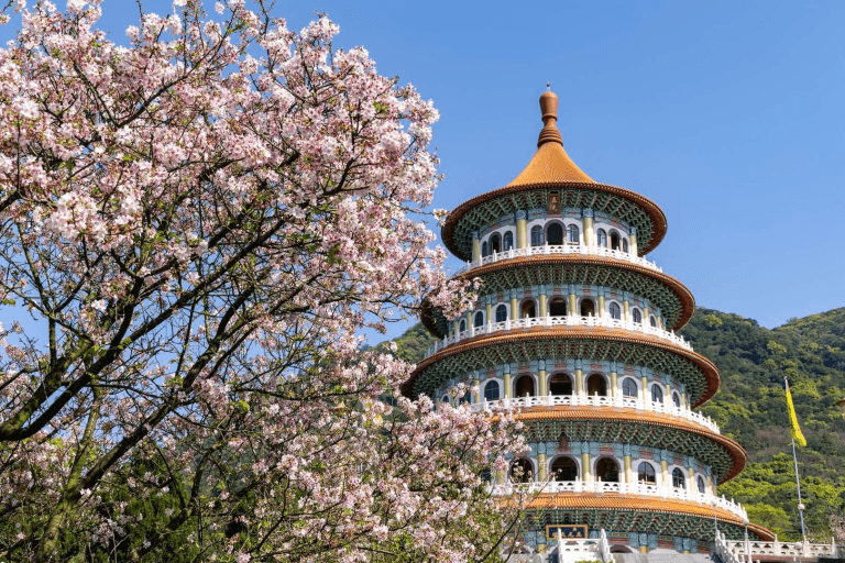 迷失在一年只開一次的夢境裡，粉櫻與白塔之間，走進天元宮的粉色花海