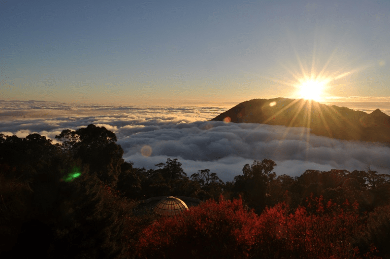 當雲霧穿過樹梢，沿著林道向上，一段屬於大雪山的四季風景與山林氣息