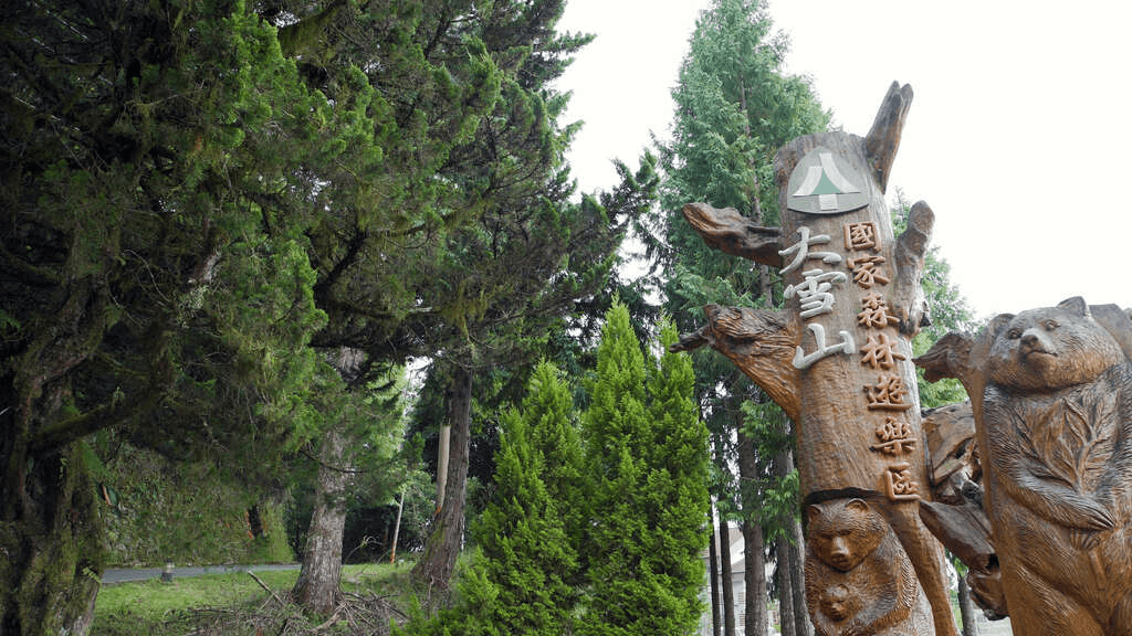當雲霧穿過樹梢，沿著林道向上，一段屬於大雪山的四季風景與山林氣息