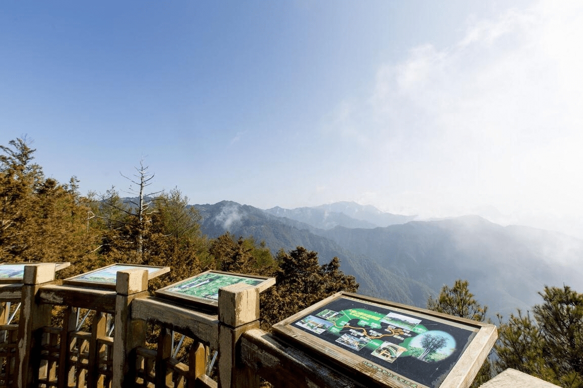 當雲霧穿過樹梢，沿著林道向上，一段屬於大雪山的四季風景與山林氣息
