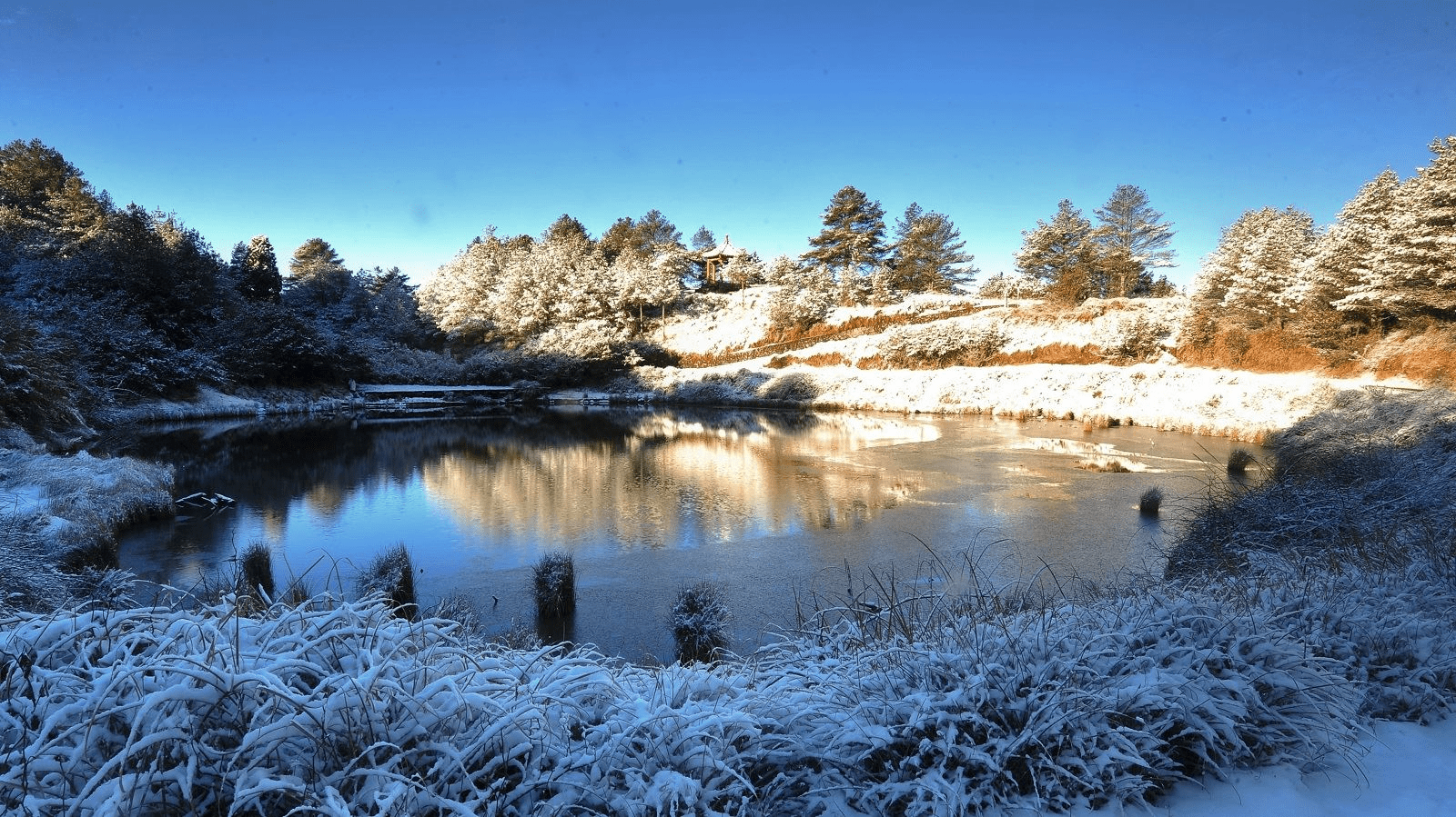 當雲霧穿過樹梢，沿著林道向上，一段屬於大雪山的四季風景與山林氣息