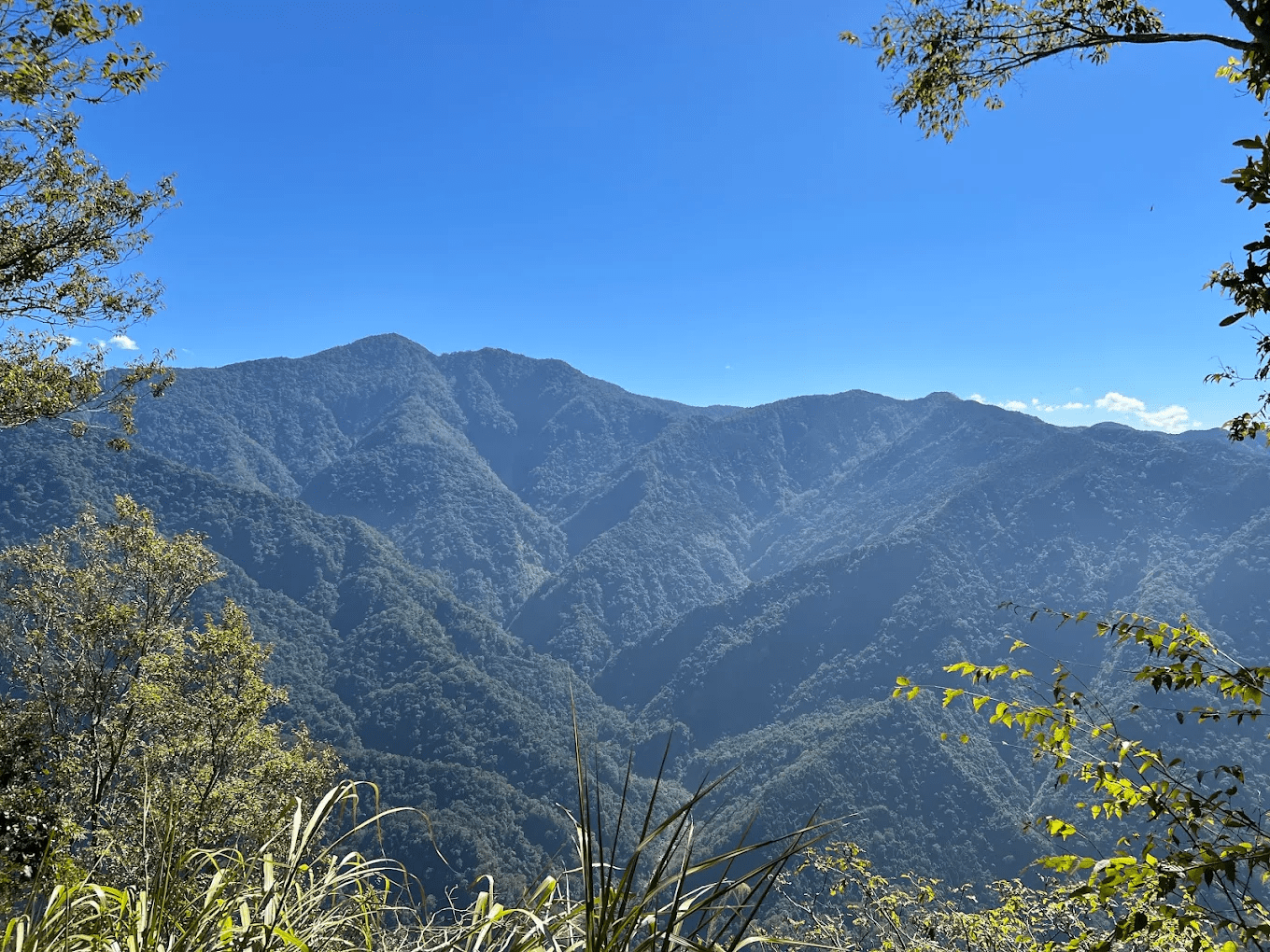 虎山（虎山步道）