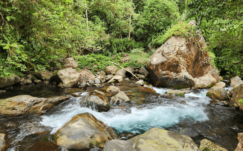 每走一步都讓心更安靜，把腳步放慢聆聽，宜蘭步道會告訴你森林的故事