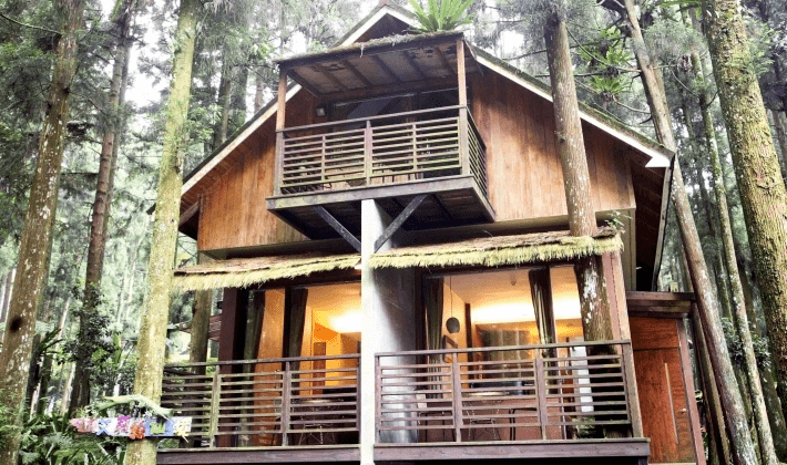 循著林間小徑前往溪頭明山森林會舘，讓住宿變成貼近山林節奏的輕旅行