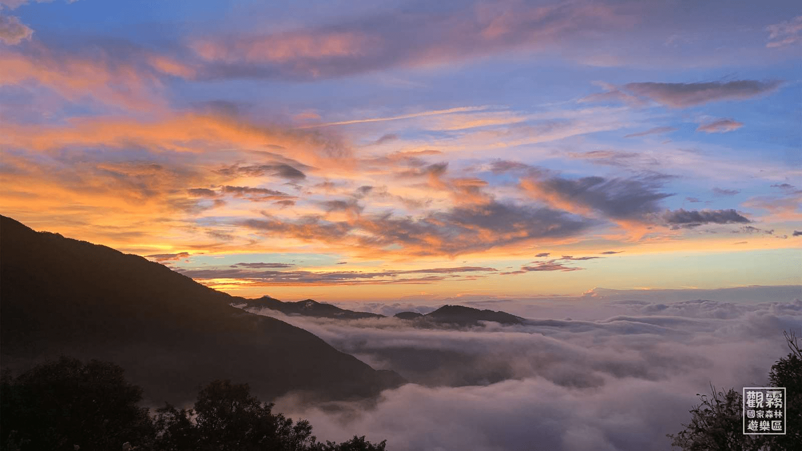 觀霧地區的雲霧美景宛如仙境，是遠離塵囂的最佳去處