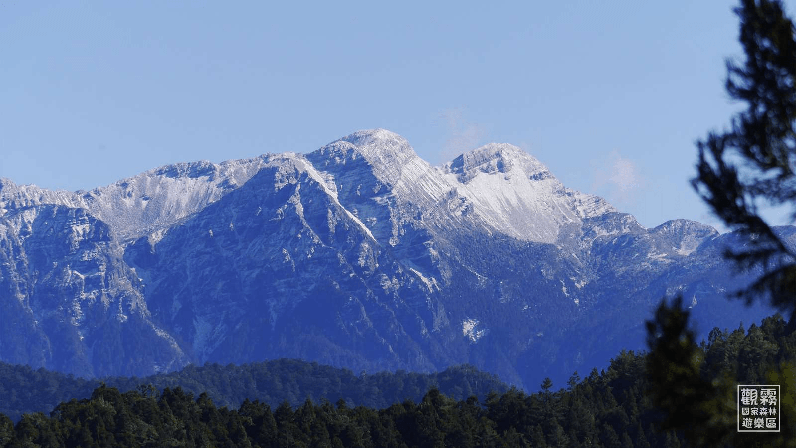 沿著觀霧的高山路線散步，在冬季雲霧微亮的清晨重新感受森林的呼吸