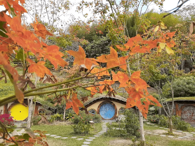 哈比丘茶樹森林的精靈木屋與悠閒氛圍深受親子家庭喜愛