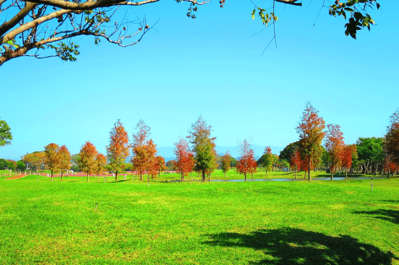 后里環保公園生態池區