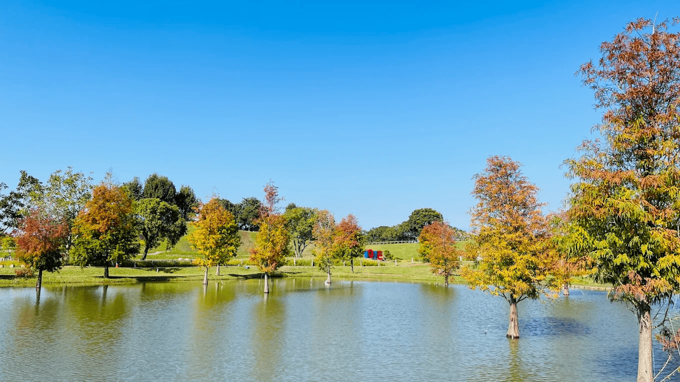 花海與天空延伸感