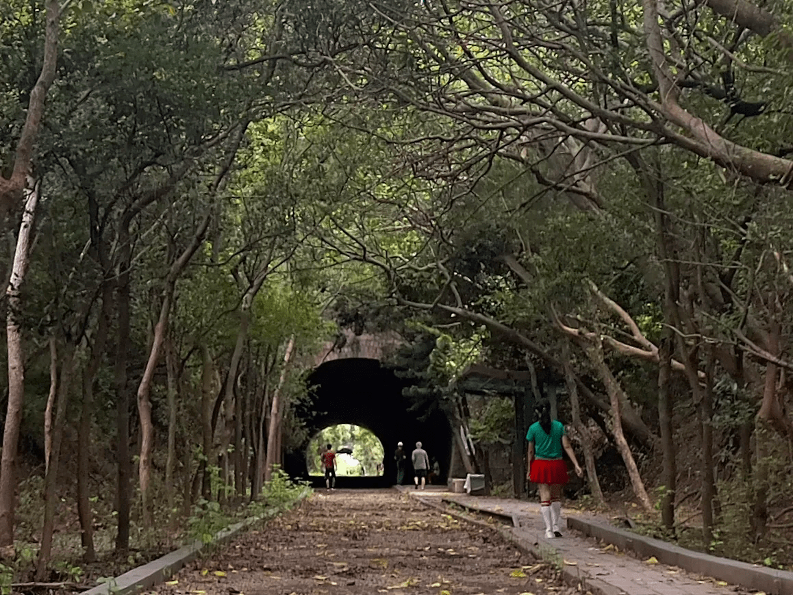 崎頂隧道文化公園｜苗栗海線最迷人的「森林鐵道景觀步道」